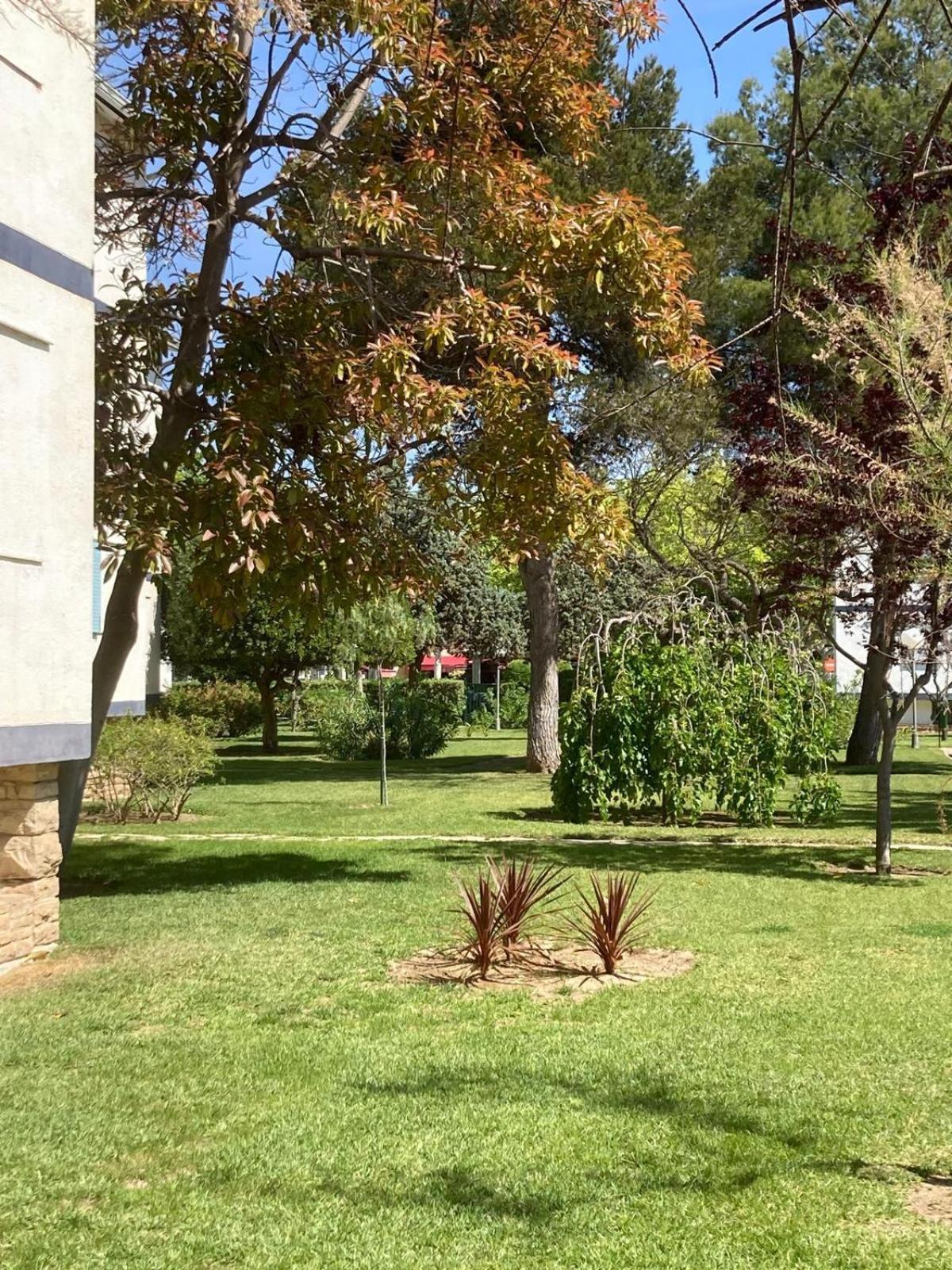 Apartment's Mallorca *